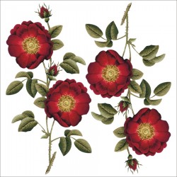artebella-1800-kolay-kumas-transfer-8-10131-44-K